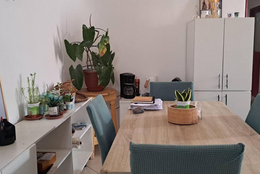 Mendes Family Homestay - B&B In The Heart Of Praia Exterior photo